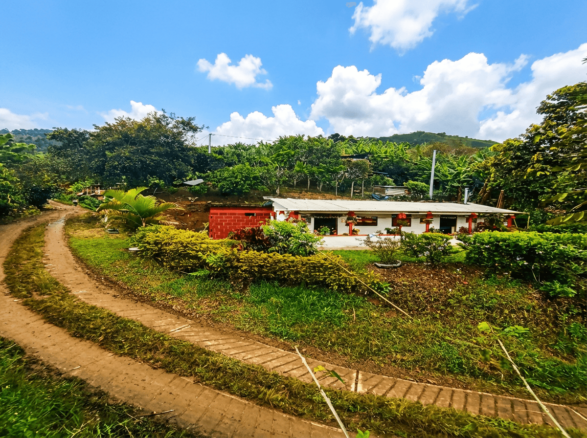 Paisaje de Finca La Floresta en Mistrató, Risaralda