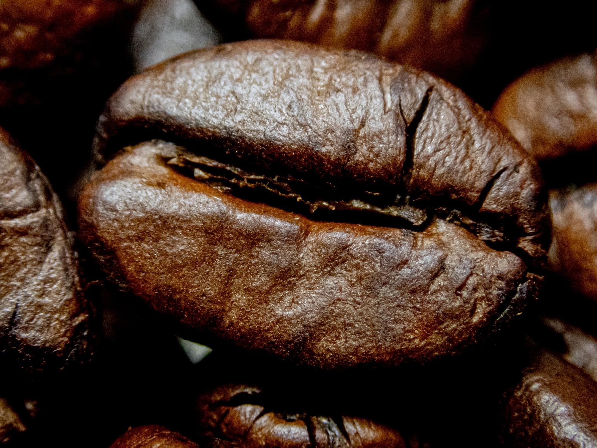 Granos de café recién tostados