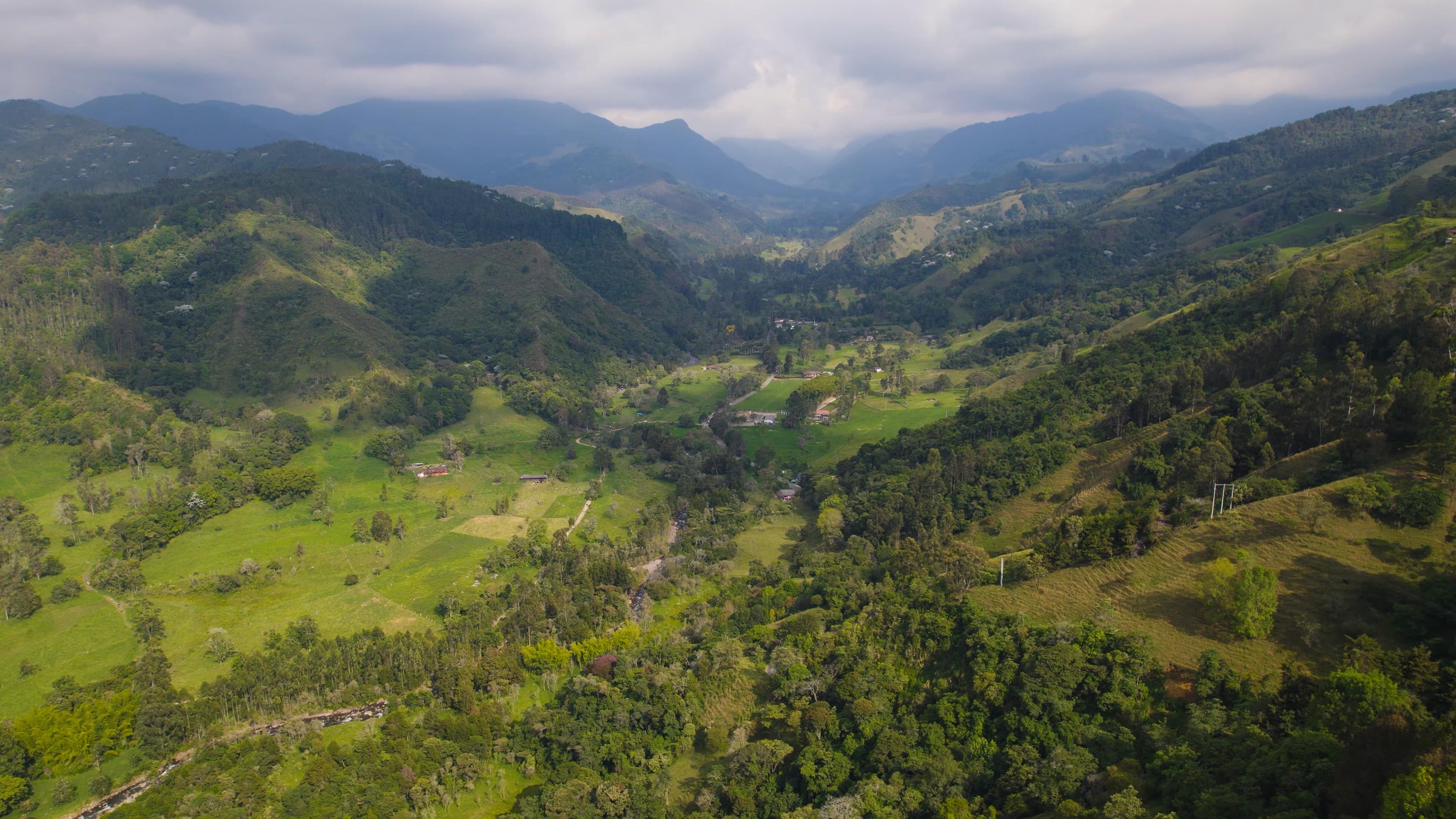 Paisaje cafetero de la región de Huila, Colombia